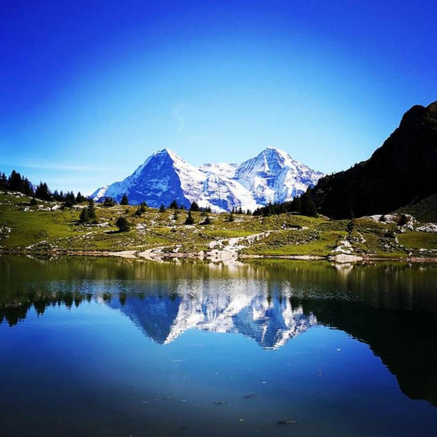 Swisshut Stunning Views Alps Lake - Chalet Erli Därligen Εξωτερικό φωτογραφία