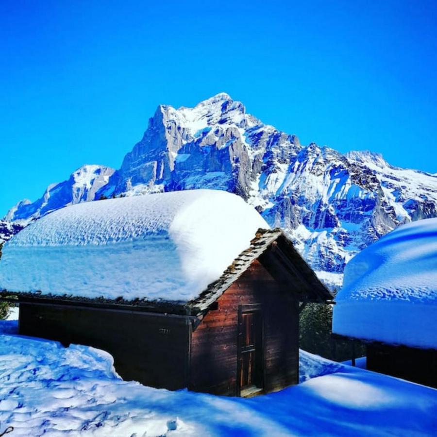 Swisshut Stunning Views Alps Lake - Chalet Erli Därligen Εξωτερικό φωτογραφία