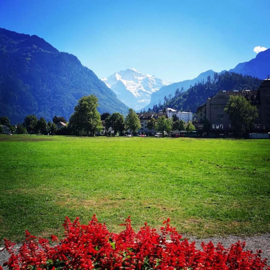Swisshut Stunning Views Alps Lake - Chalet Erli Därligen Εξωτερικό φωτογραφία